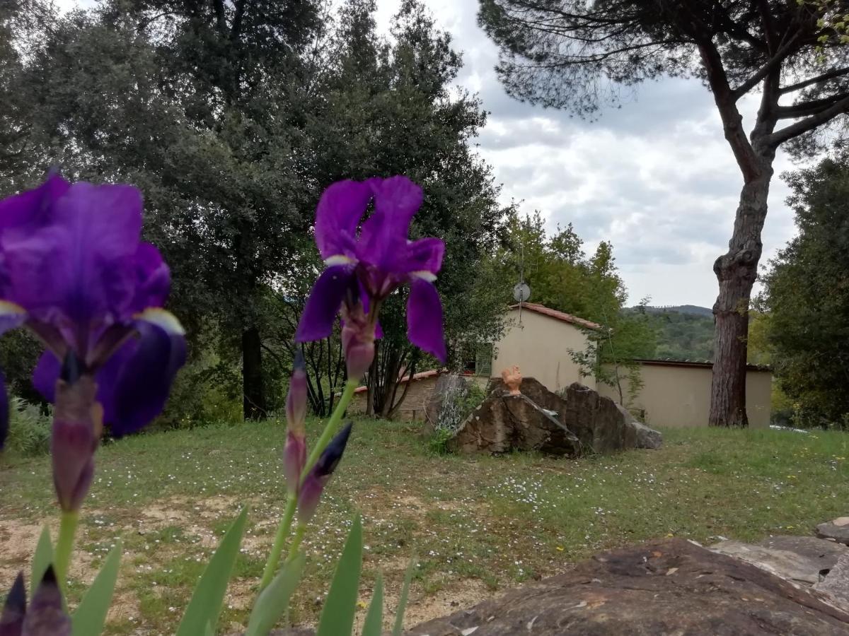 Casa Jacaranda Villa Monteverdi Marittimo Exteriör bild
